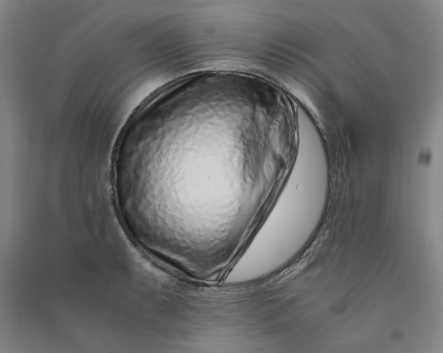 X0000090901087200708201712