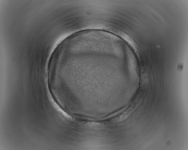 X0000090901088200708201712