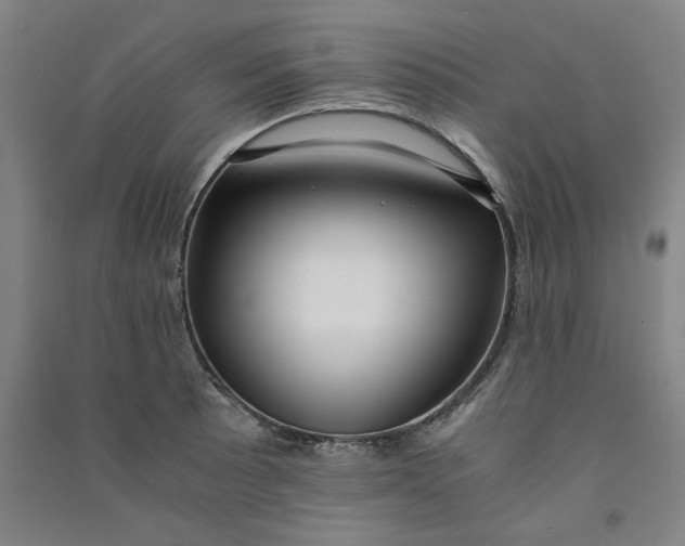 X0000090901089200708201712