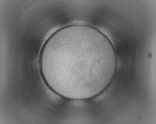 X0000090901090200708201712