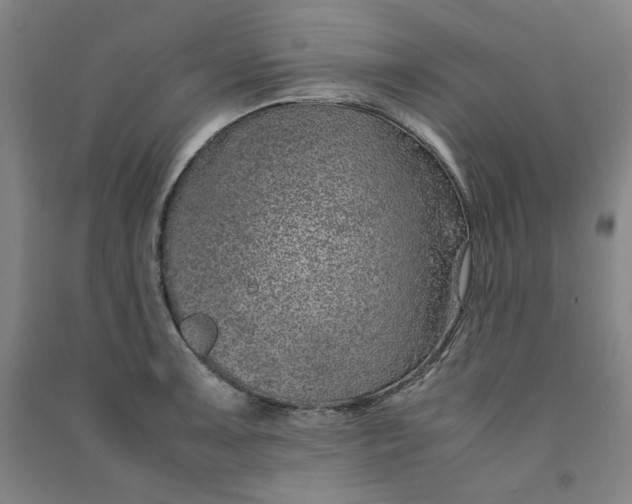 X0000090901091200708201712