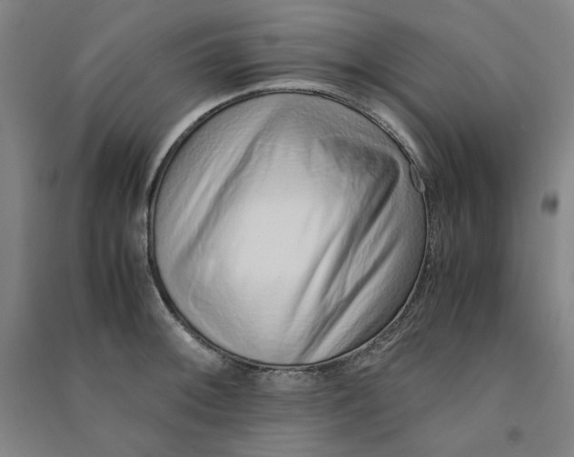 X0000090901092200708201712