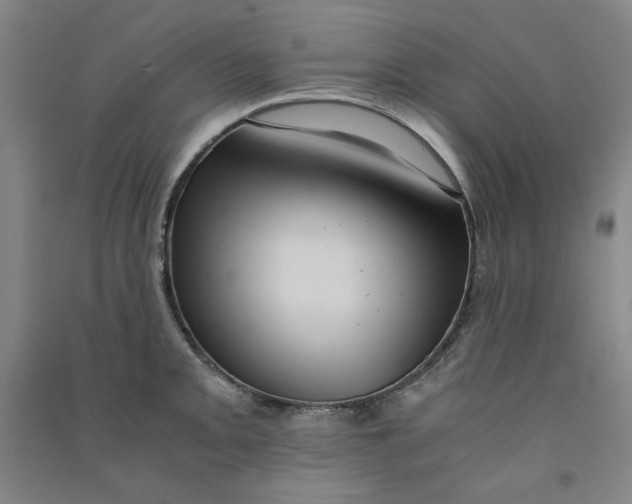 X0000090901093200708201712