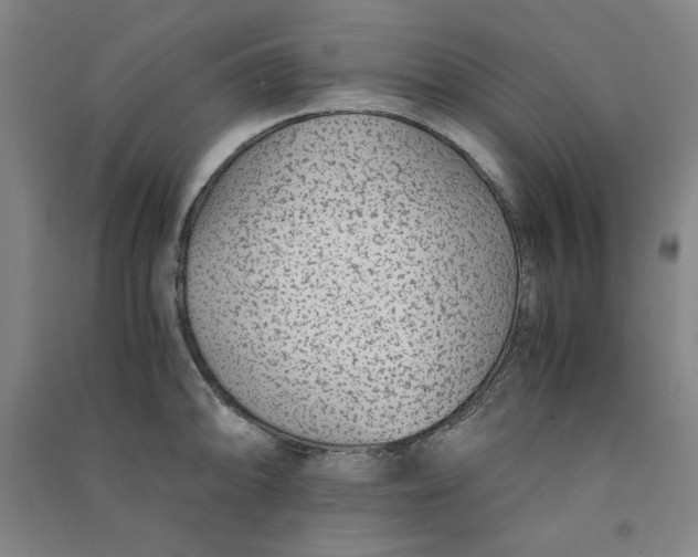 X0000090901094200708201712