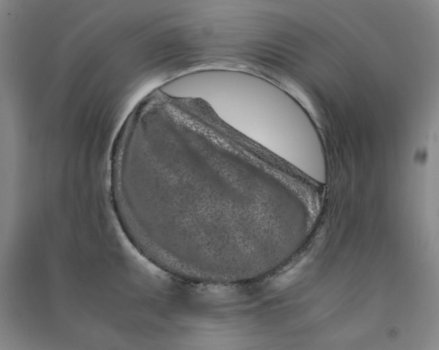 X0000090901095200708201712