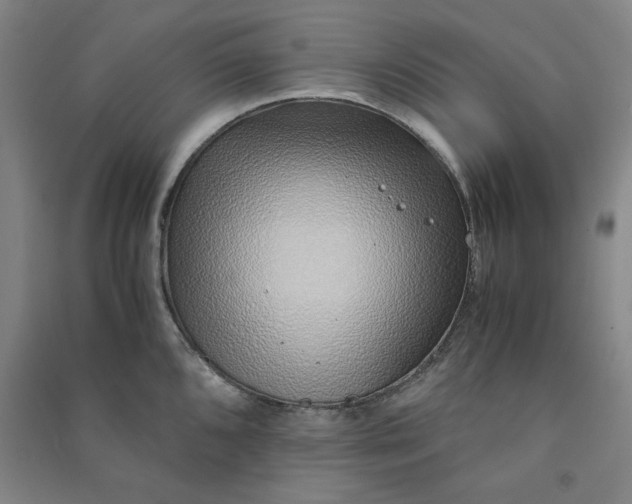 X0000090901096200708201712