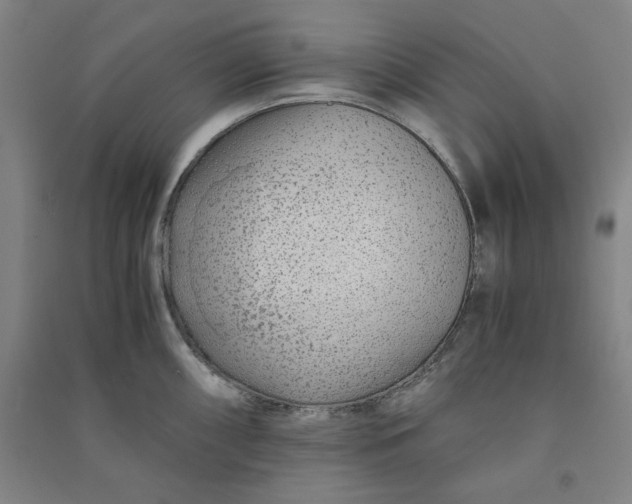 X0000090901098200708201712