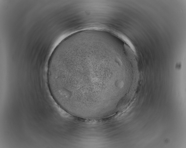 X0000090901099200708201712