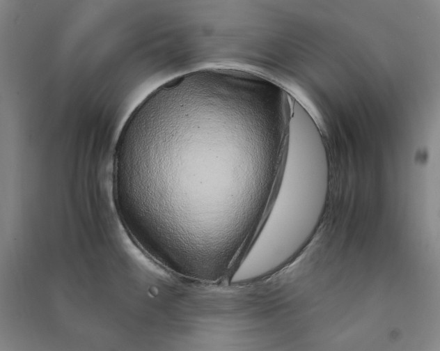 X0000090901100200708201712