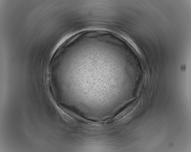 X0000090901101200708201712