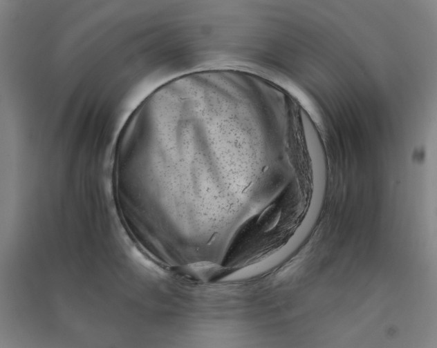 X0000090901102200708201712