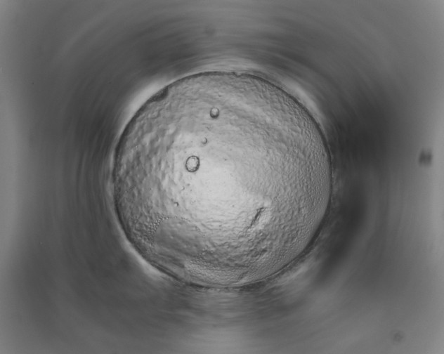 X0000090901103200708201712