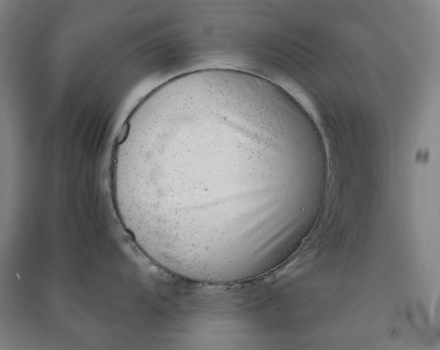 X0000090901104200708201712