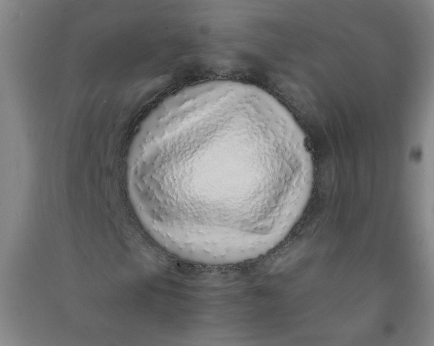 X0000090901105200708201711