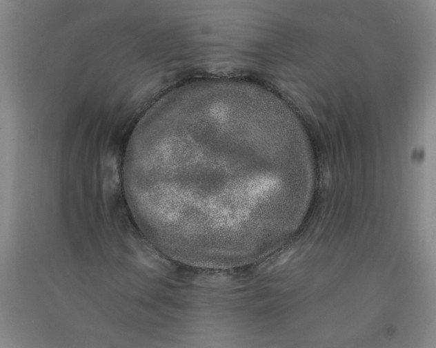 X0000090901106200708201711