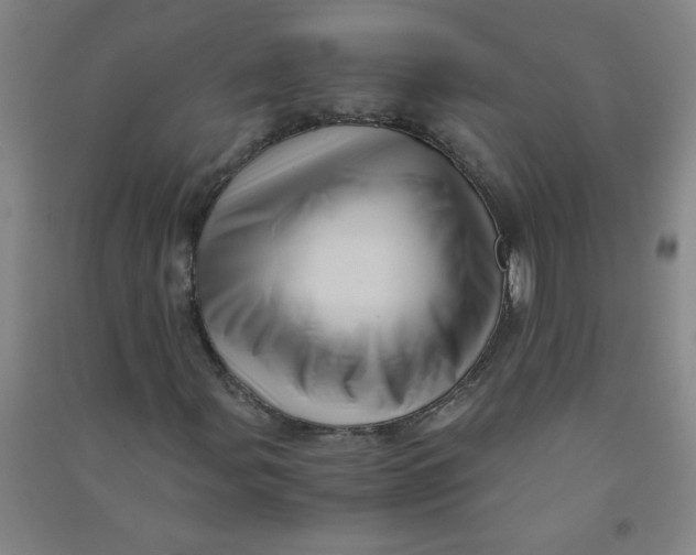 X0000090901107200708201711