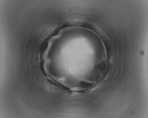 X0000090901108200708201711