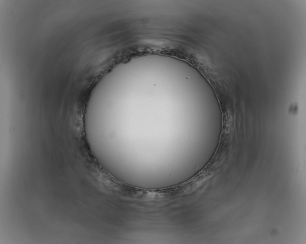 X0000090901109200708201711