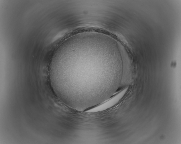 X0000090901110200708201712