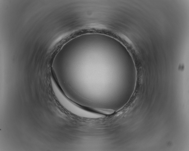 X0000090901112200708201712