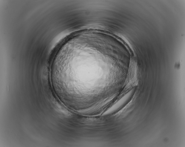 X0000090901115200708201712