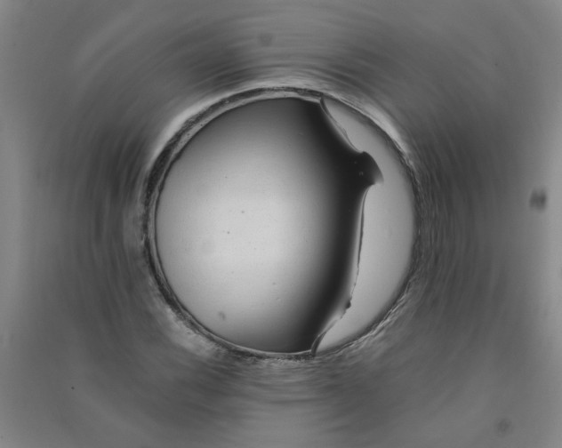 X0000090901116200708201712