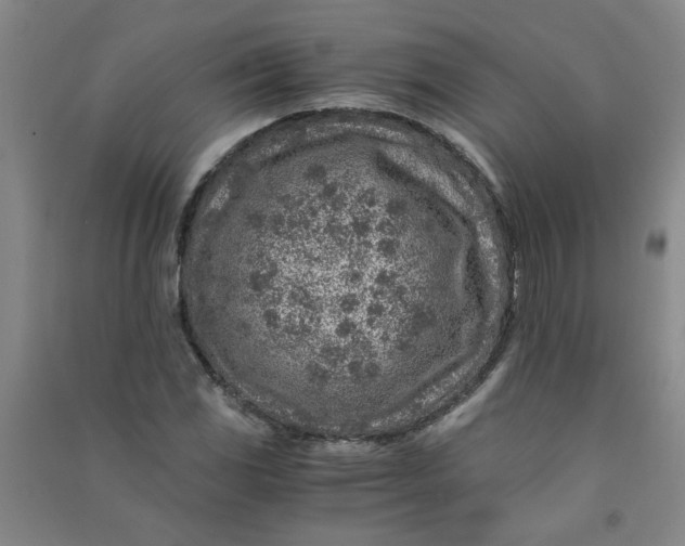 X0000090901117200708201712