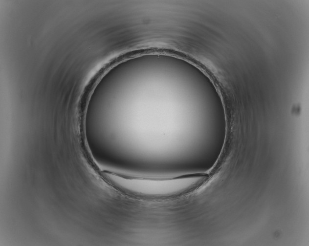 X0000090901118200708201712