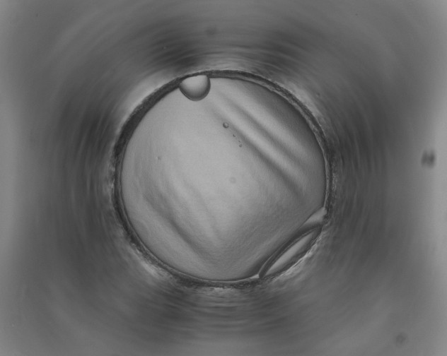 X0000090901119200708201712