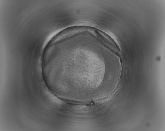 X0000090901120200708201712