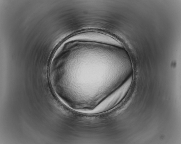 X0000090901121200708201712