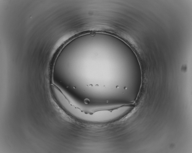 X0000090901122200708201712