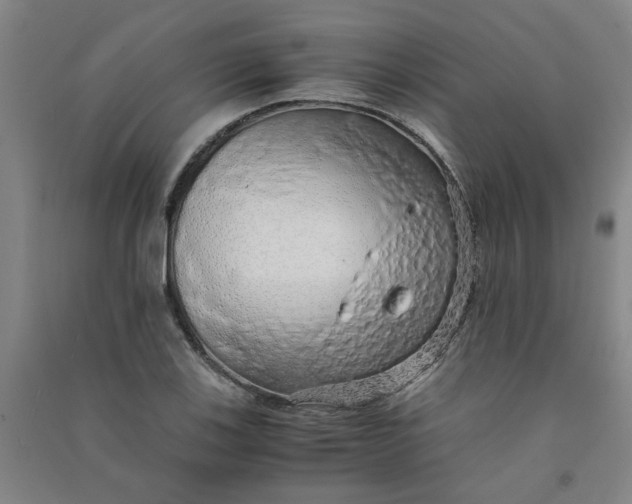 X0000090901123200708201712