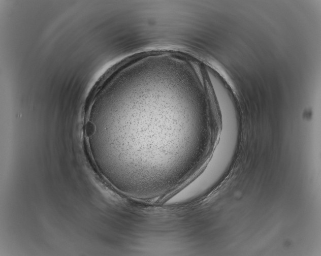 X0000090901124200708201712