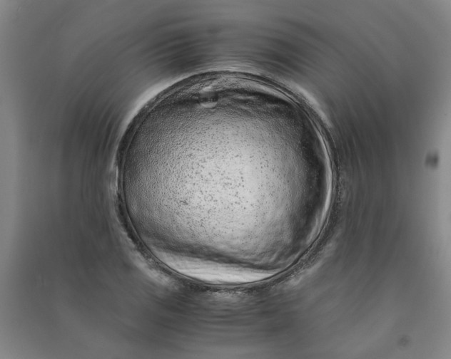 X0000090901125200708201712