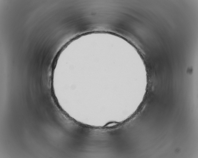 X0000090901126200708201712