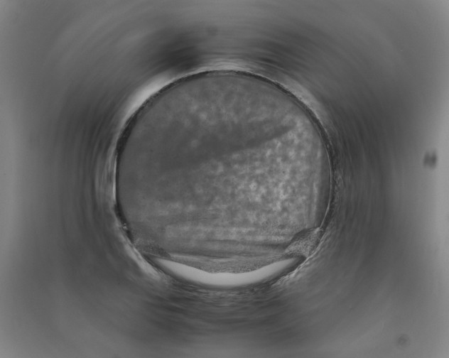 X0000090901127200708201712