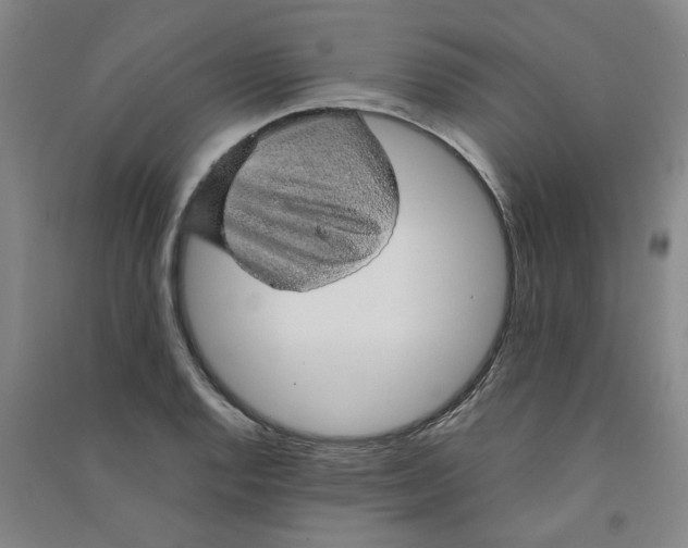 X0000090901128200708201712