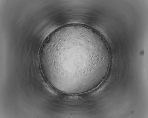 X0000090901129200708201712