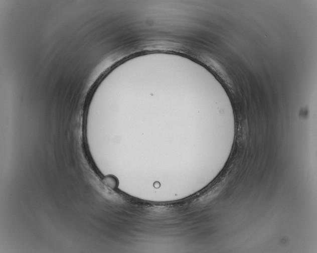 X0000090901130200708201712