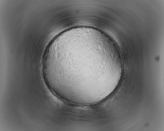 X0000090901133200708201712