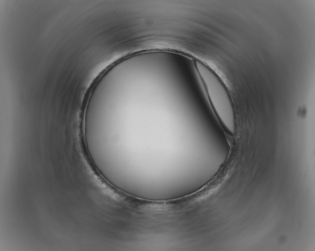 X0000090901134200708201712