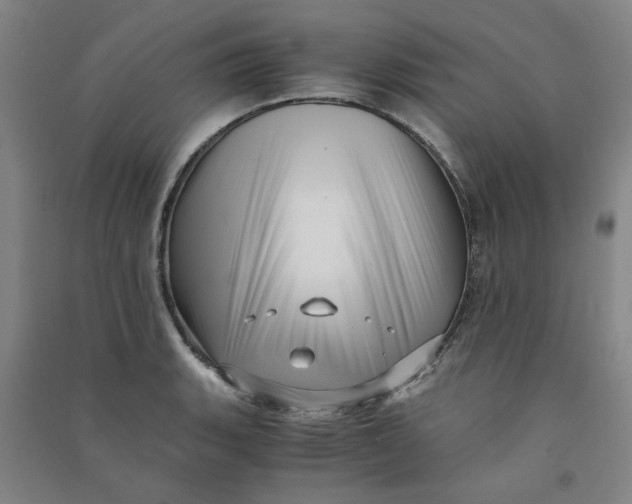 X0000090901135200708201712