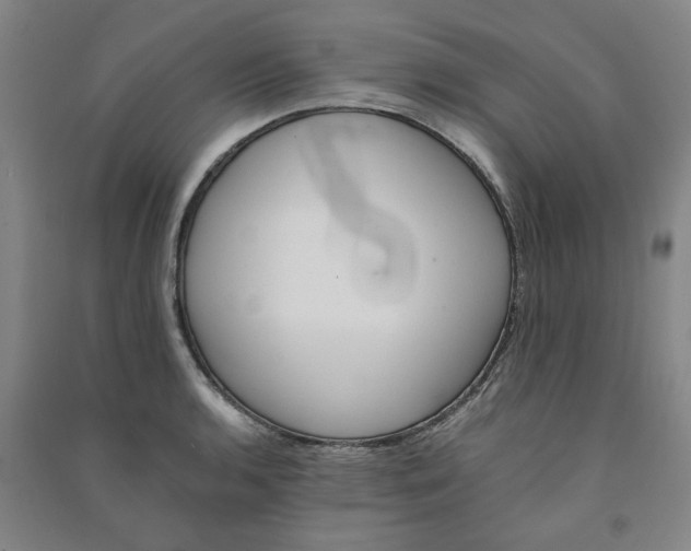 X0000090901136200708201712