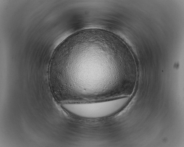 X0000090901137200708201712