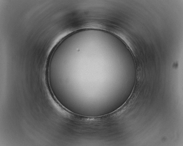 X0000090901139200708201712