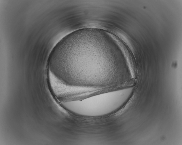 X0000090901141200708201712