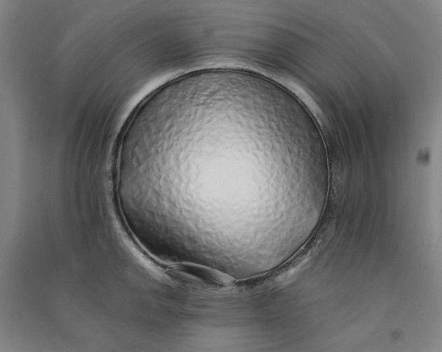 X0000090901142200708201712