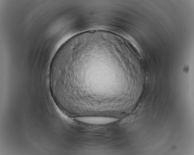 X0000090901143200708201712