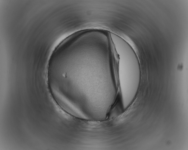 X0000090901144200708201712